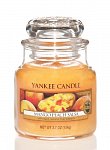 Yankee Candle Mango peach salsa  (5)