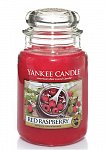 Yankee Candle Red raspberry (5)