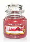 Yankee Candle Cranberry ice DOPRODEJ (4)