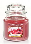 Yankee Candle Cranberry ice DOPRODEJ (1)