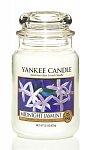 Yankee Candle Midnight jasmine (5)