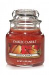 Yankee Candle Spiced orange (4)